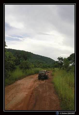 Piste en direction de Dindéfélo 2 réduit - Cadre Portrait - Sénégal copie.jpg