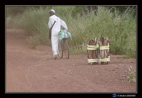 Sur la piste du campement réduit- Cadre Paysage - Sénégal copie.jpg