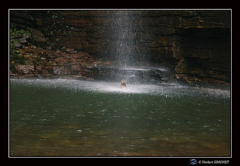 Plume sous la cascade réduit - Cadre Paysage - Sénégal copie.jpg