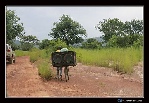 Transport sur vélo piste de Dindéfélo réduit - Cadre Paysage - Sénégal copie.jpg