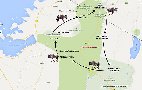 carte-migration-gnou-copy.jpg