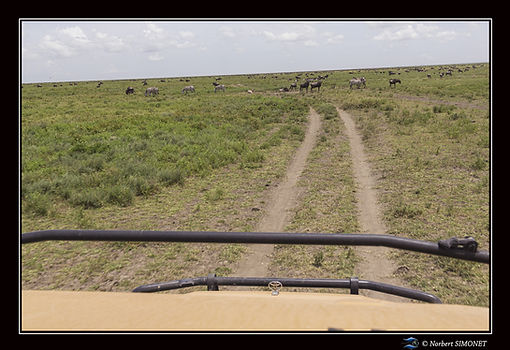 4x4 sur la piste - Cadre Paysage - Plain