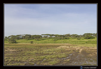 Paysage boueux - Cadre Paysage - Plaines
