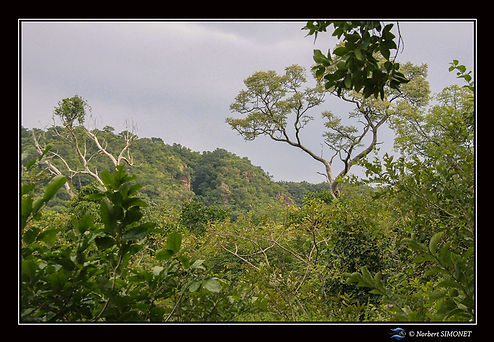 Paysage aux abords de la cascade de Dindéfélo réduit - Cadre Paysage - Sénégal copie.jpg