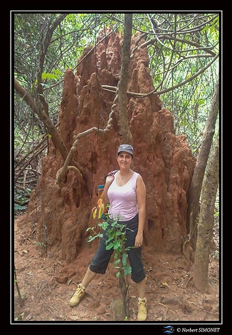 Fériel pose devant une termitière sentier de la cascade réduit - Cadre Portrait - Sénégal
