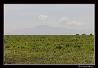 Paysage - Cadre Paysage - Plaines de Ndu