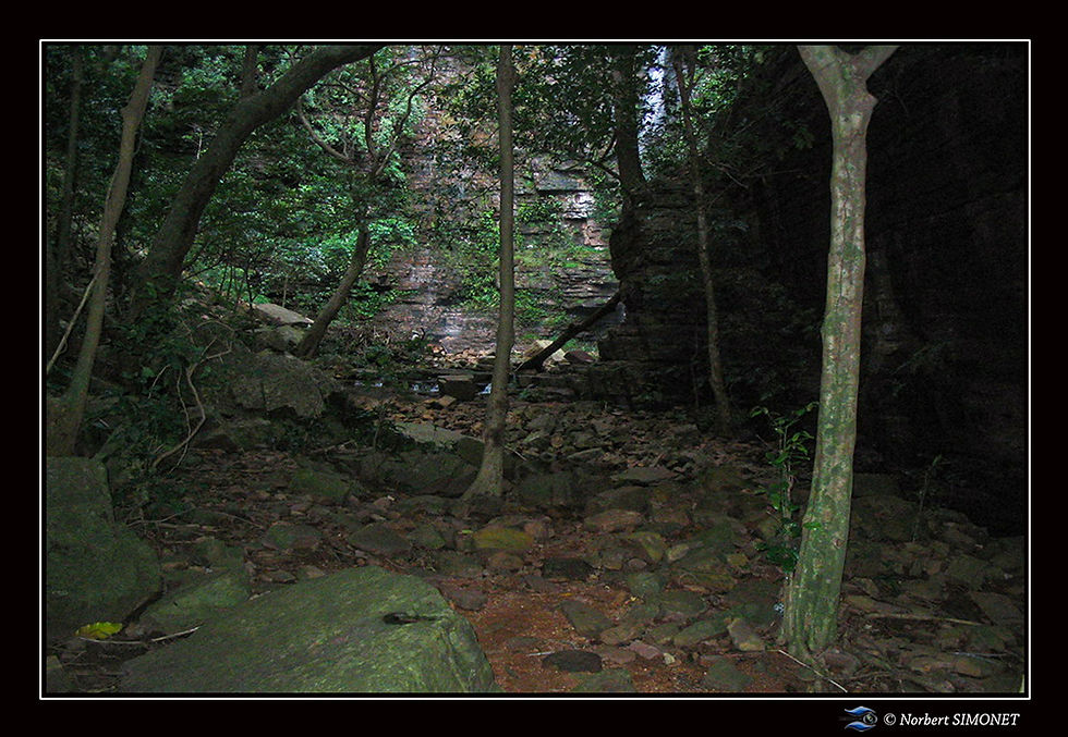 Cascade vue du sentier réduit - Cadre Paysage - Sénégal copie.jpg