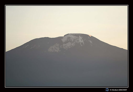 Le kilmandjaro entre dans la brume - Cad