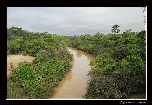 Rivière Niokolo Koba bis réduit - Cadre Paysage - Sénégal copie.jpg