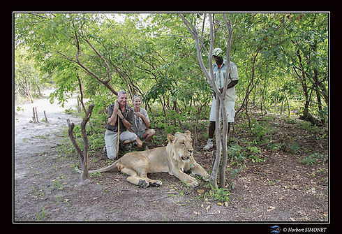 Norbert Bénédicte accroupis Modu debout et Tiger couché à nos pieds bis - Cadre Paysage -