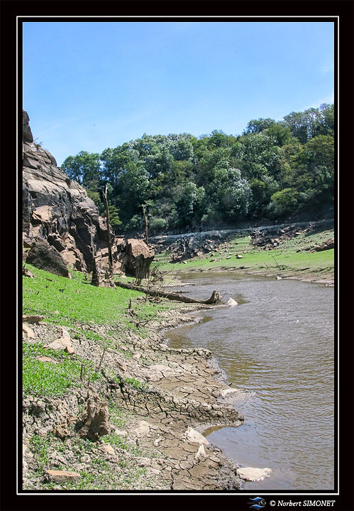 Cours d'eau vers le barrage 1 - Cadre Portrait - Etang de Néal 03062024 (2).jpg