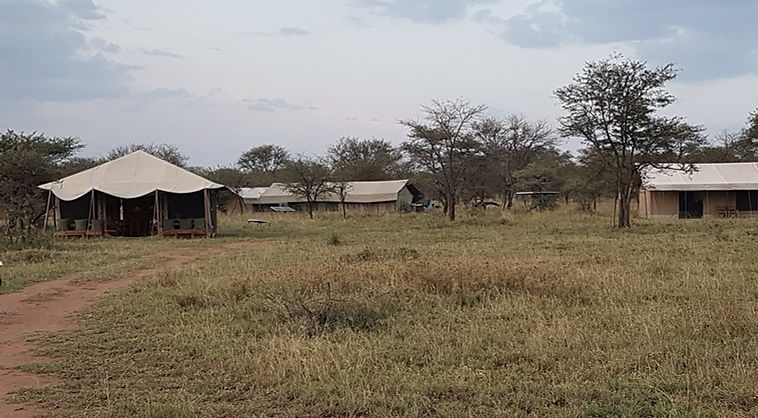ndutu-wildlands-camp.jpg