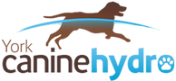 Untitled design_edited.png