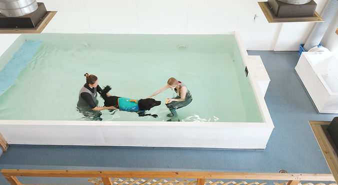 Pool from above_edited.jpg