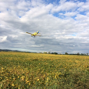 Aerial Seeding Cover Crop 