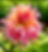 Thumbnail: Labyrinth 