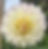 Thumbnail: Tahoma Early Dawn