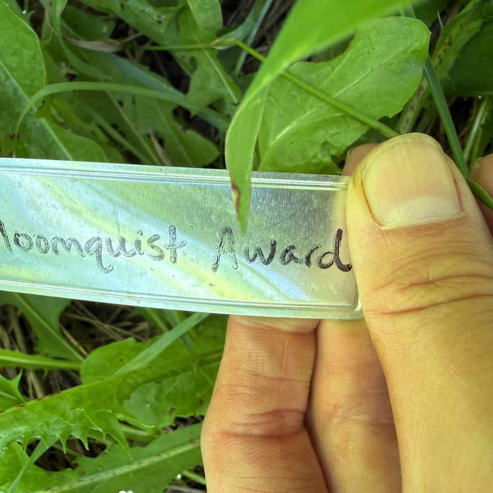 Thumbnail: Bloomquist Award