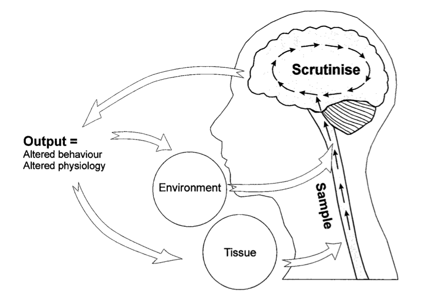 MatureOrganismModel1