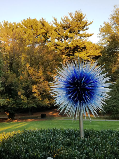 My Day at the NYBG