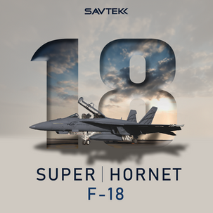 F/A-18A-D HORNET VE F/A-18E/F SUPER HORNET STRIKE FIGHTER
