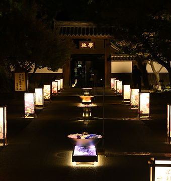 11月　足利灯り物語 (足利観光協会提供).jpg