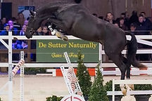 Diadition Loose Jump.jpg
