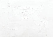 White Paint Background_edited.jpg
