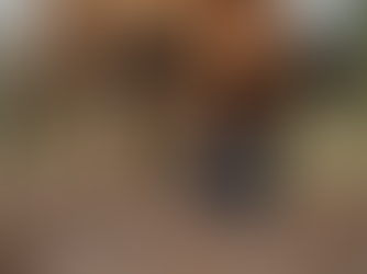 Maximize Your Harvest: K9 Methods for Truffle Success