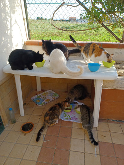 stazione di alimentazione