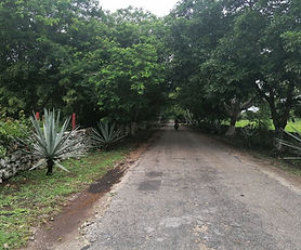 Venta de Terreno en Kankabchen, Baca, Mérida, Yucatán