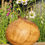 Thumbnail: Oak burr onion vase