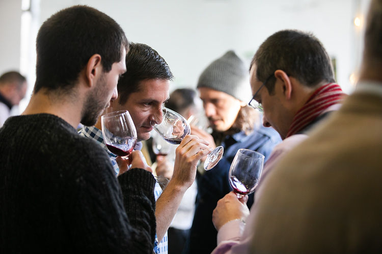 SpitFest-nomad wines