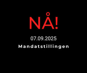 Blir det disse 169 på Stortinget 2025-29?