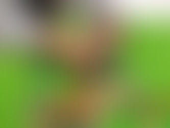 チェーンリングで遊ぼう