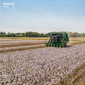 What Materials Does The Fashion Industry Have To Thank Mother Earth Directly For?