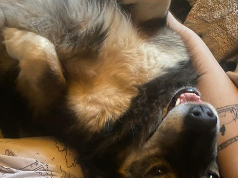 Maksītis ienes jautrību mājās