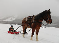 DSCF0143.JPG