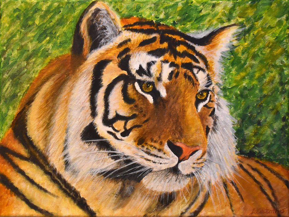 Tiger