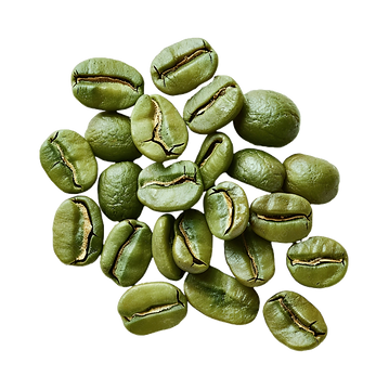 pngtree-photo-of-green-coffee-bean-shot-from-above-no-shadows-png-image_12744344.png