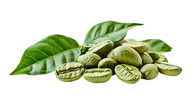 unroasted-coffee-beans-with-green-foliage-png.png