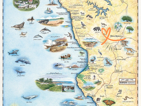 Central Coast Vintage/Antique Crawl during our Fall Market weekend!