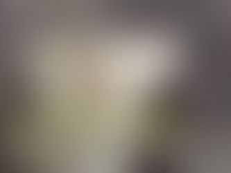 Trenton Falls waterfall in Trenton NY surrounded by rocky cliffs on Greater Utica Magazine August 2018 cover