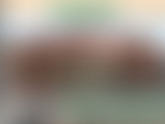 A nostalgic look back at the history of Donalty’s, a true Utica staple located in the Bagg’s Square area of downtown