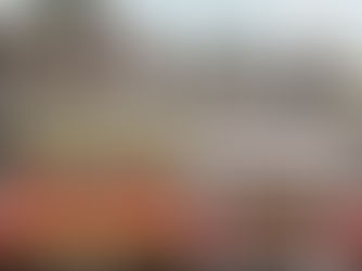 the historic Annexation Deerfield to North Utica