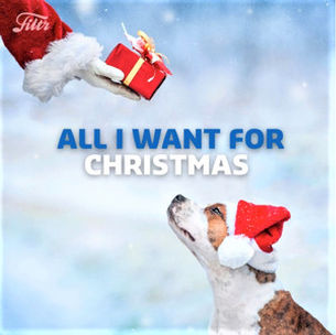 All I want for Christmas is some Stress Relief!