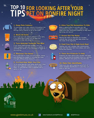 SAVE YOUR DOGS FROM THE MISERY OF FIREWORKS