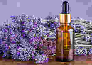 essential oils sensory issues smell lavender calming
