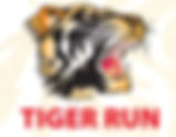The Tiger Run Dhaka: A Unique Opportunity To Run In Bangladesh! 