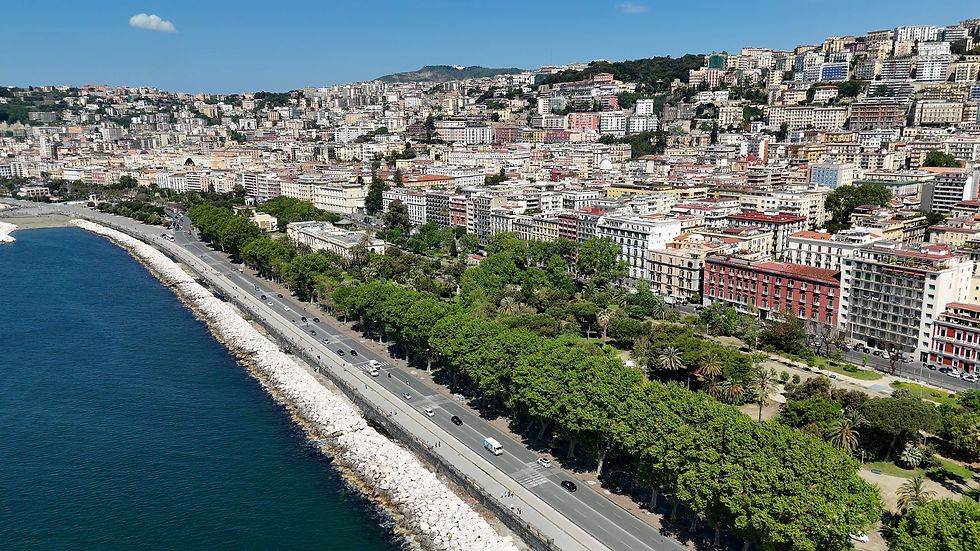 Aerial view of a sunny Naples with a seaside road, cars, green trees, and dense hillside apartment buildings under a blue sky.